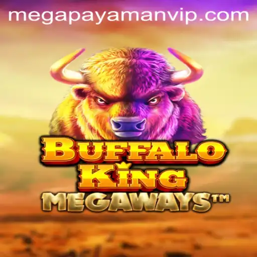 Megapayaman Casino App